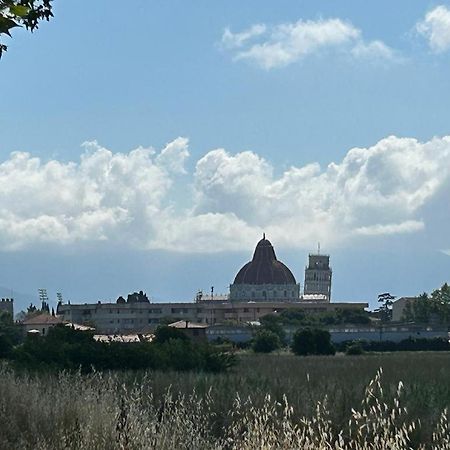 Nido Del Parco, Delizioso Bilocale A Pisa Leilighet Eksteriør bilde
